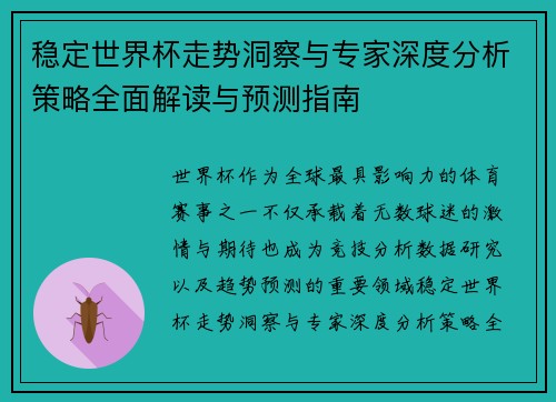稳定世界杯走势洞察与专家深度分析策略全面解读与预测指南